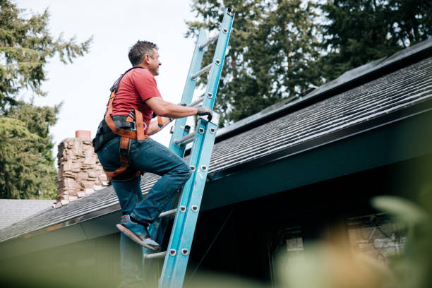 Best Roof Maintenance and Cleaning  in Whitehall, OH